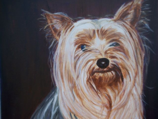 Benny, 50cm×50cm, 2017, Öl