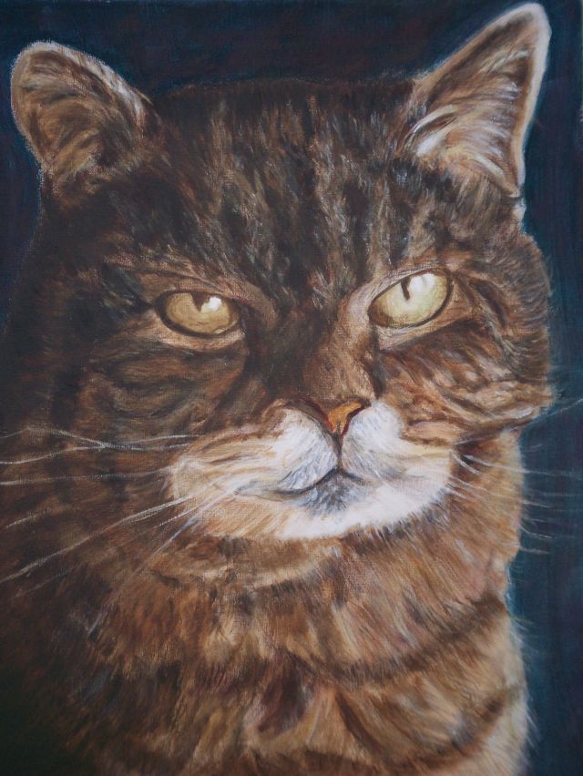 Filou, 40cm×50cm, 2017, Acryl