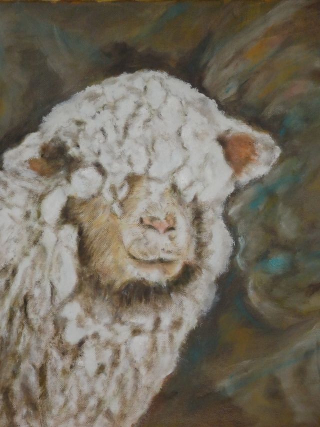 Schafskälte, 50cm×50cm, 2019, Öl